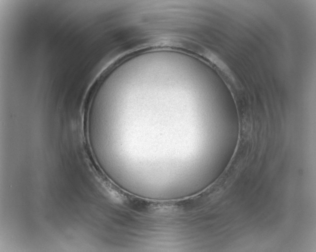 X0000068810886200605081116