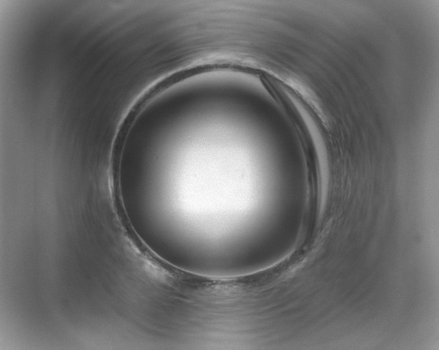 X0000068810888200605081116