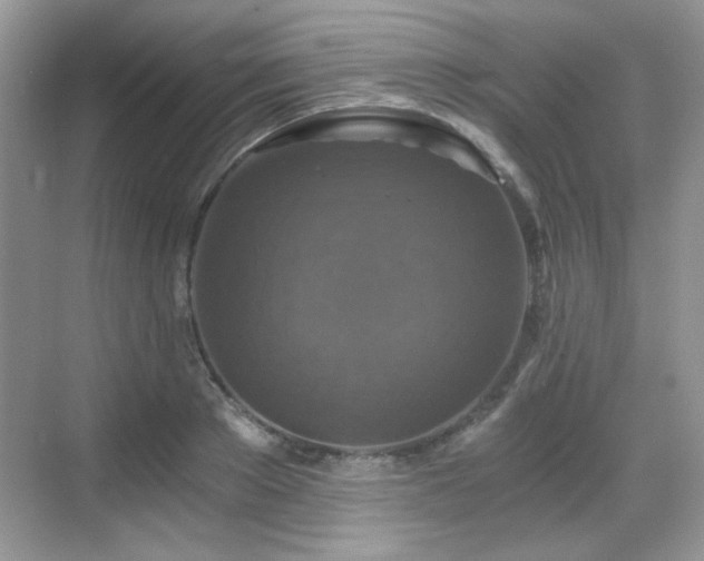 X0000068810889200605081116