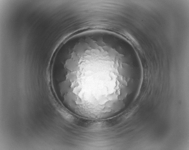 X0000068810891200605081116