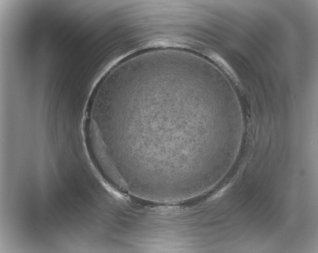 X0000068810893200605081116