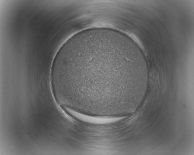 X0000068810895200605081116