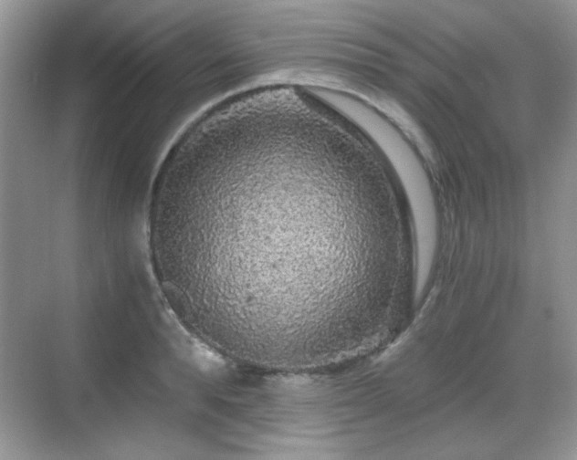 X0000068810896200605081116