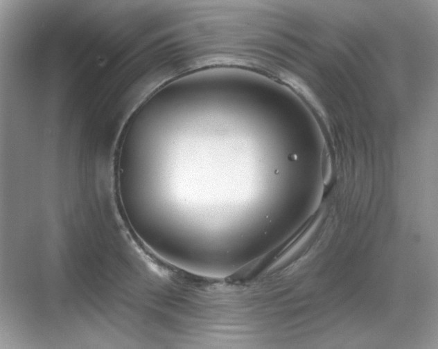 X0000068810898200605081116