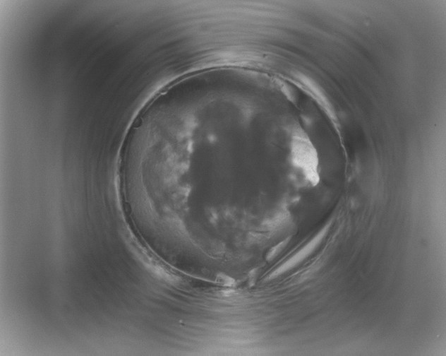 X0000068810899200605081116