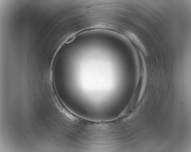 X0000068810900200605081116