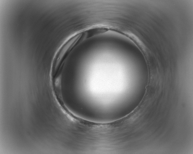 X0000068810902200605081116