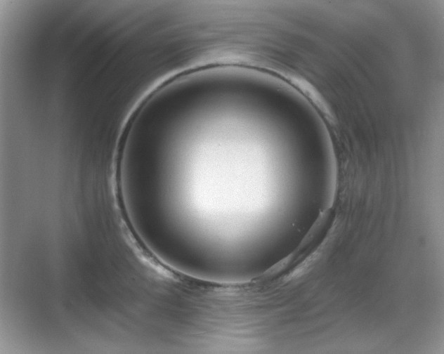 X0000068810904200605081116