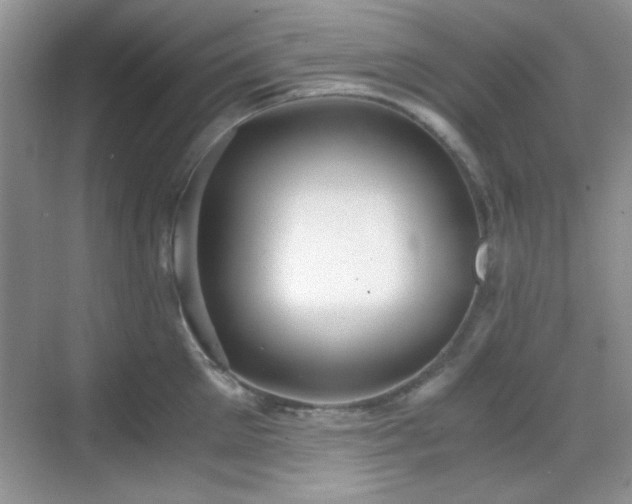 X0000068810905200605081116