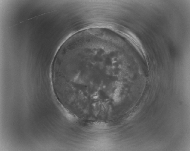 X0000068810907200605081116