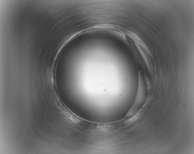 X0000068810908200605081116