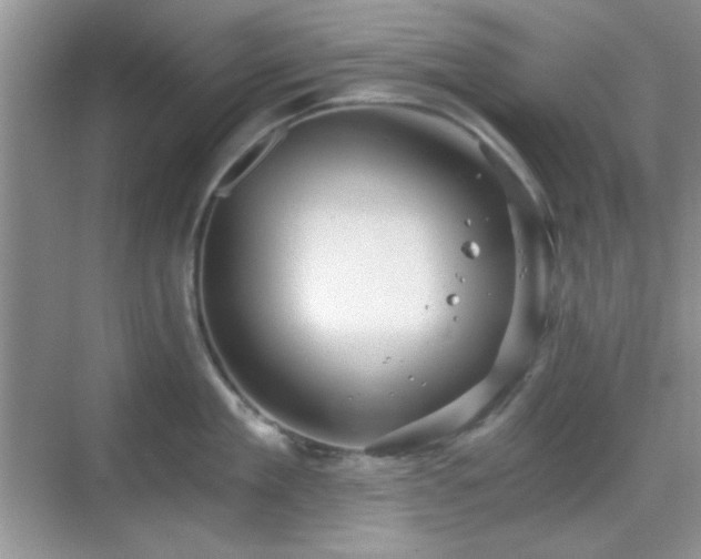 X0000068810909200605081116