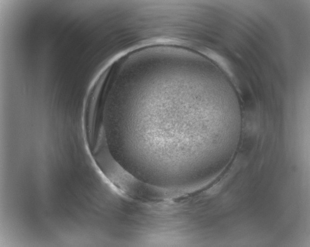 X0000068810910200605081116