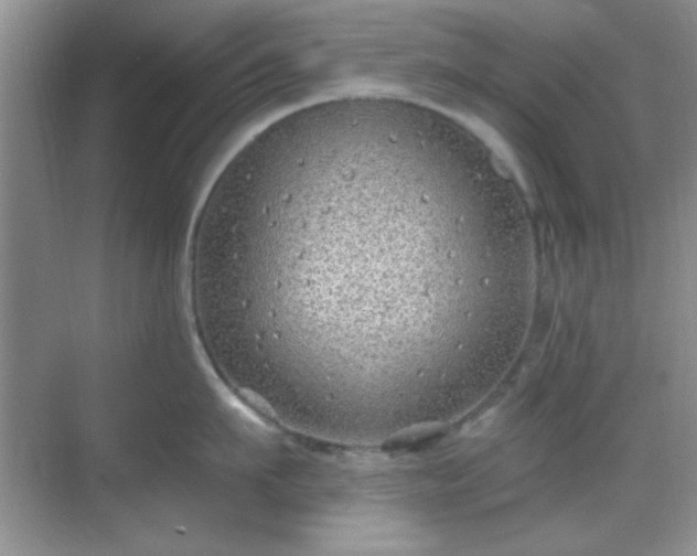 X0000068810911200605081116