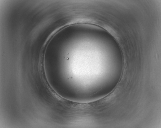 X0000068810912200605081116