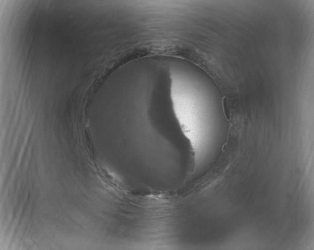 X0000068810913200605081115