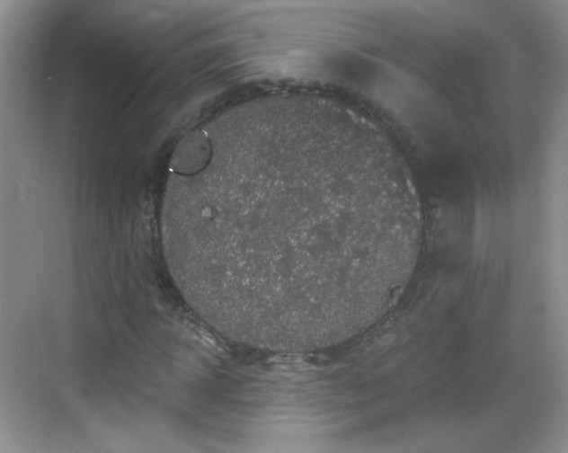 X0000068810918200605081115