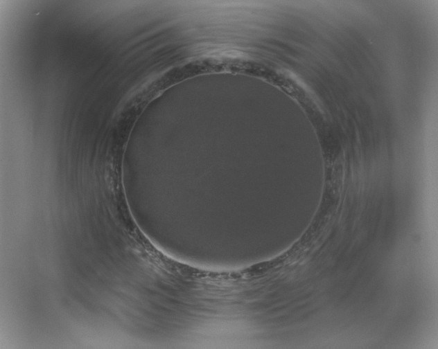 X0000068810919200605081115