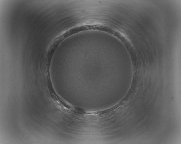 X0000068810920200605081115