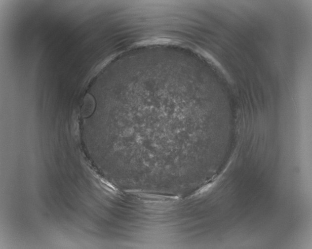 X0000068810921200605081115