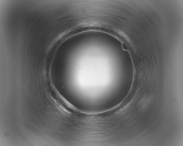 X0000068810922200605081115