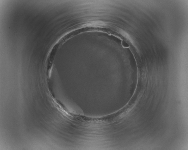 X0000068810923200605081115