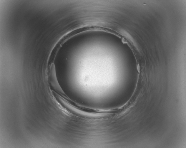 X0000068810924200605081115