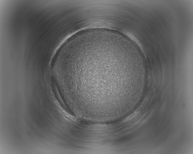 X0000068810925200605081115