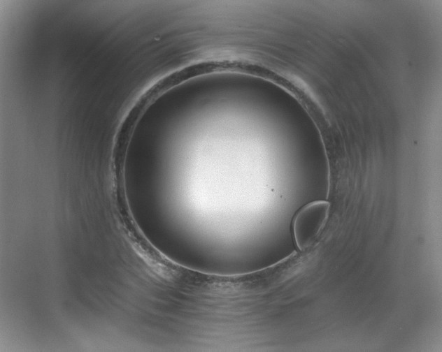 X0000068810927200605081115