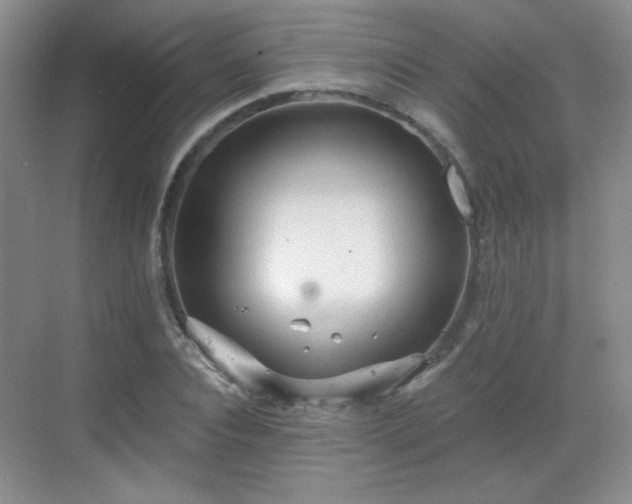 X0000068810928200605081115