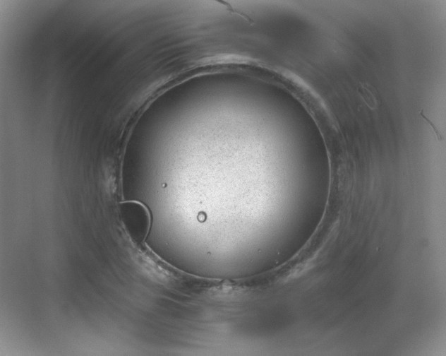 X0000068810929200605081115