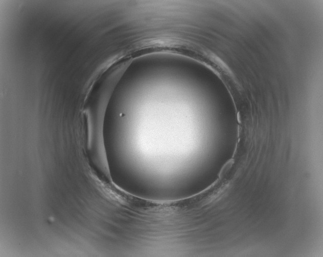 X0000068810930200605081115