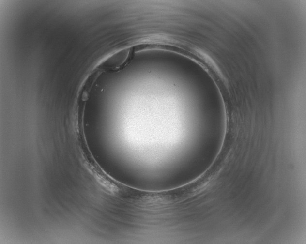 X0000068810931200605081115