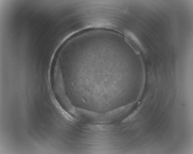 X0000068810932200605081116