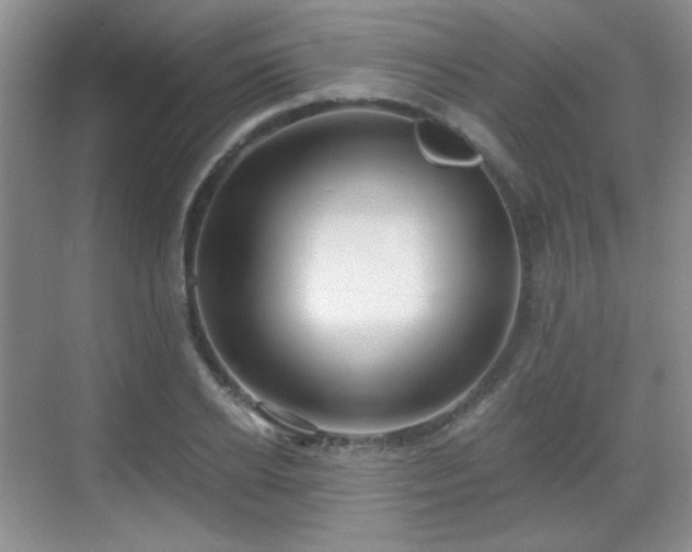 X0000068810934200605081116