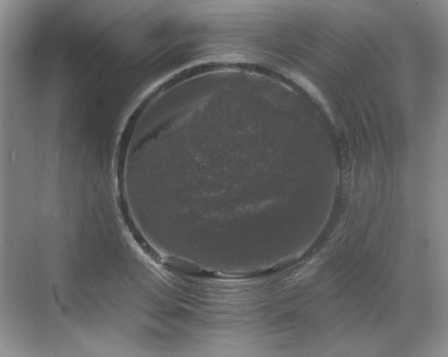 X0000068810935200605081116