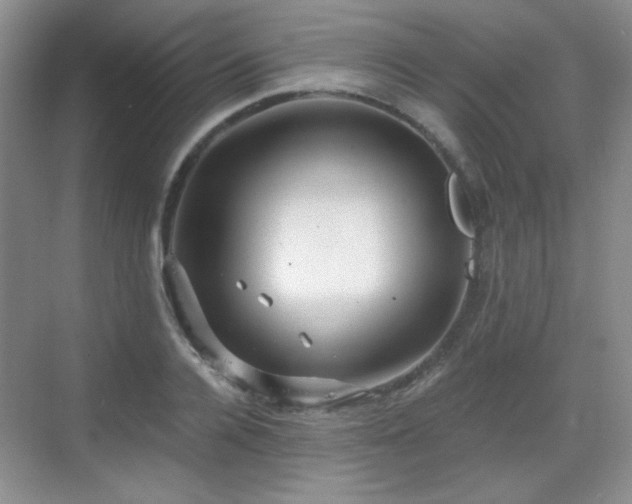 X0000068810936200605081116