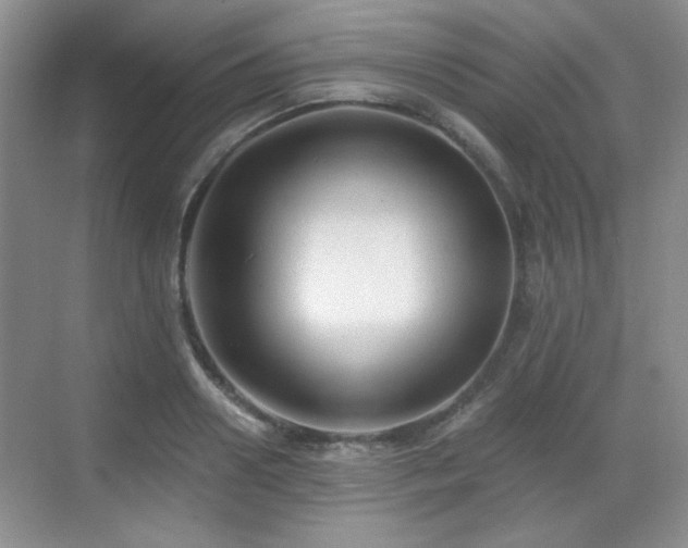 X0000068810938200605081116