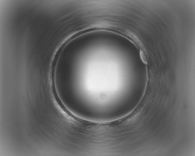 X0000068810939200605081116