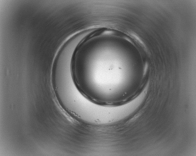 X0000068810940200605081116