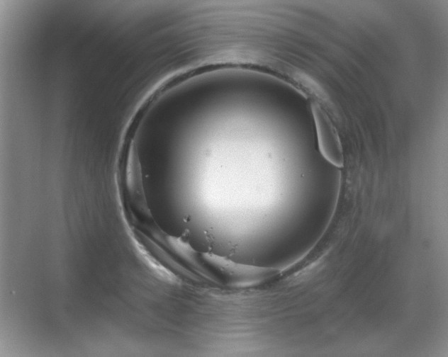 X0000068810942200605081116