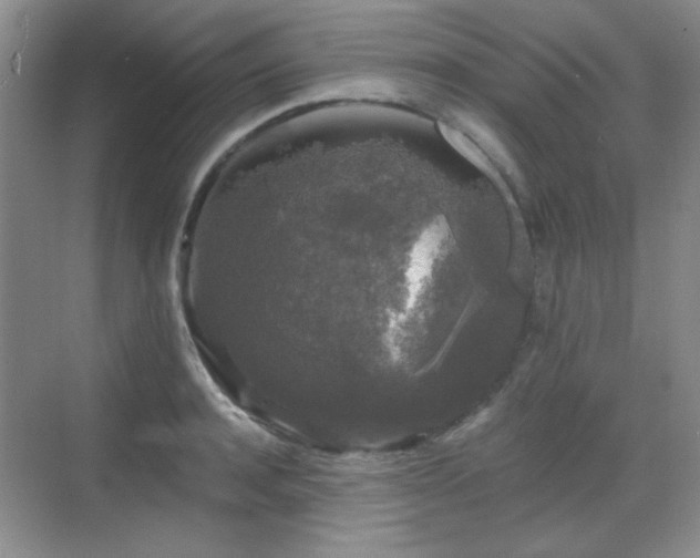 X0000068810944200605081116