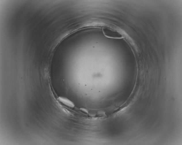 X0000068810945200605081116