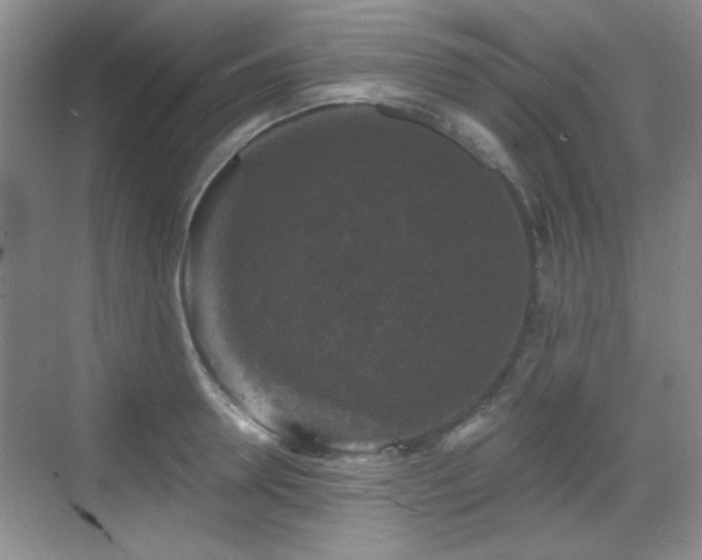 X0000068810946200605081116