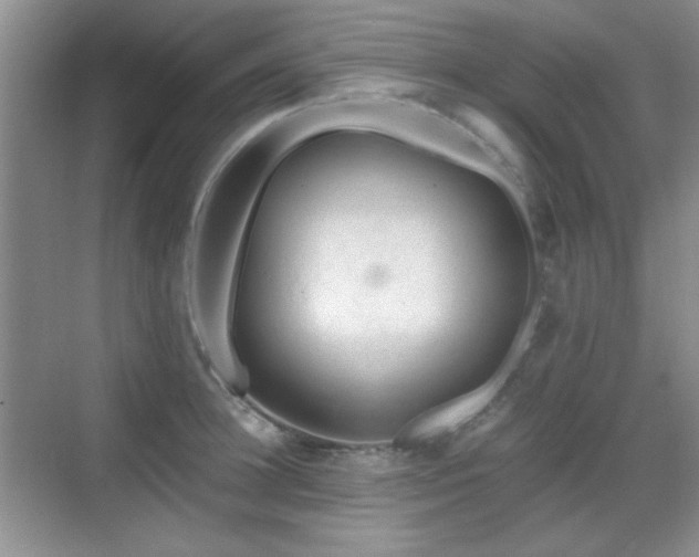 X0000068810948200605081116