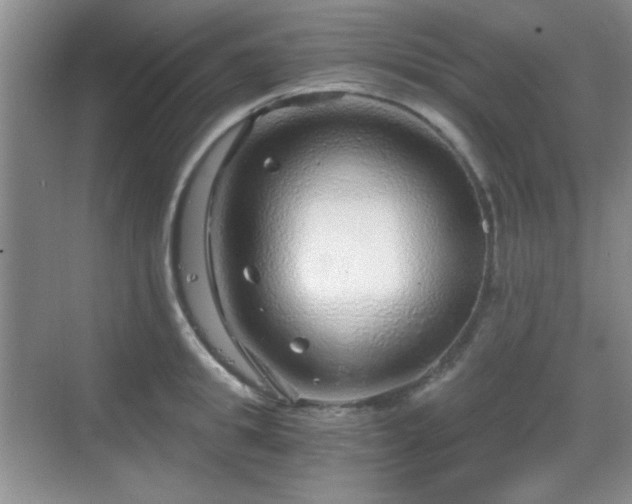 X0000068810949200605081116