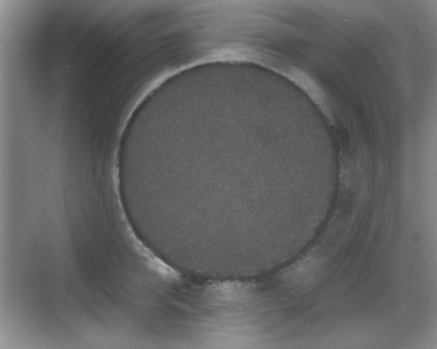 X0000068810950200605081116