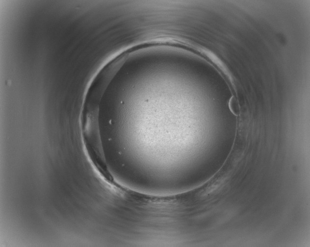 X0000068810951200605081116