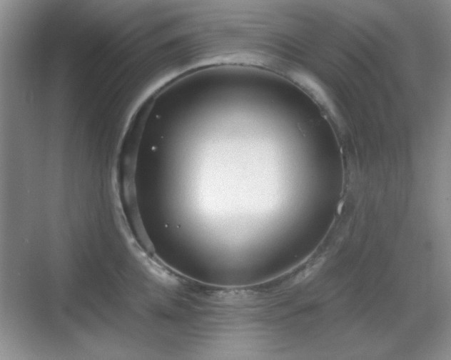 X0000068810952200605081116