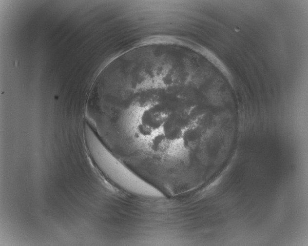 X0000068810953200605081116